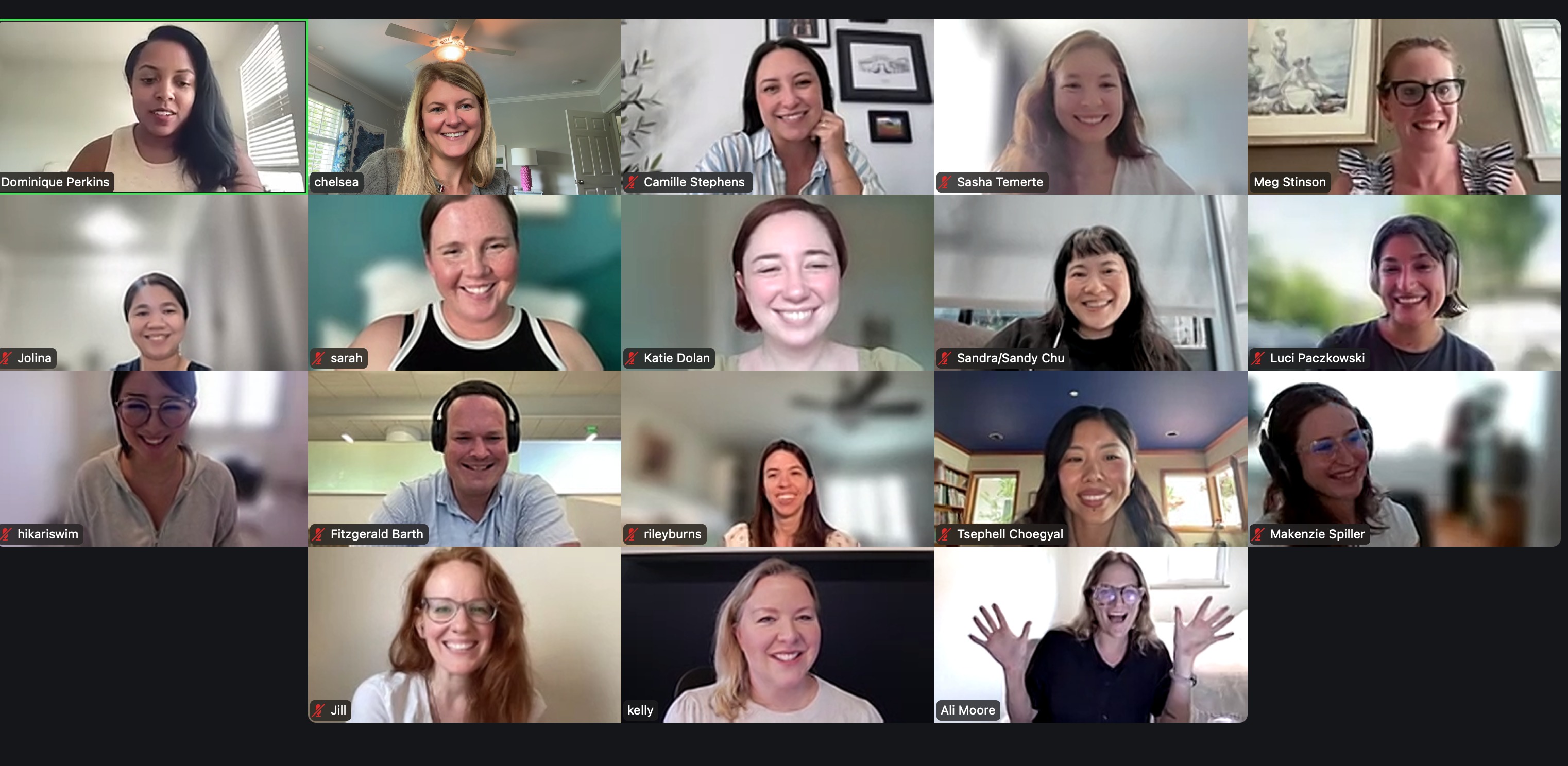 Team Zoom meeting